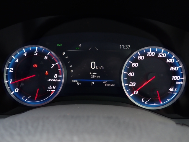 ���[�^�[�p�l�����m�肽����񂪈�ڗđR�ł��ˁB