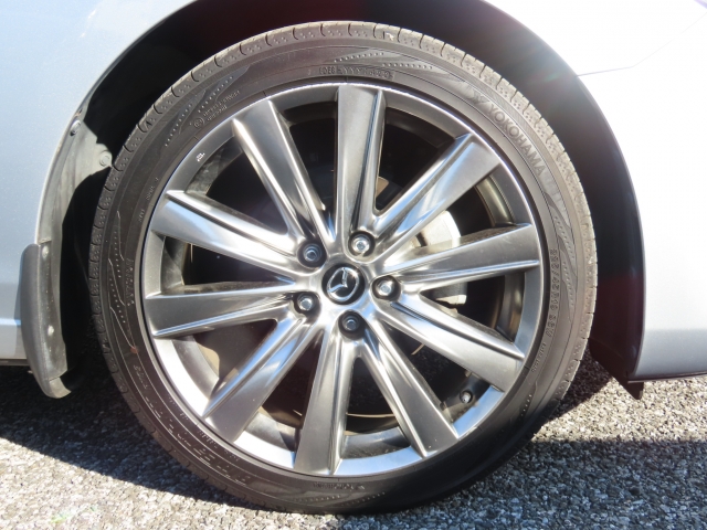 �����A���~�𗚂��Ă܂��I�R��̖ʂł����􂵂Ă���鑕���ł��I