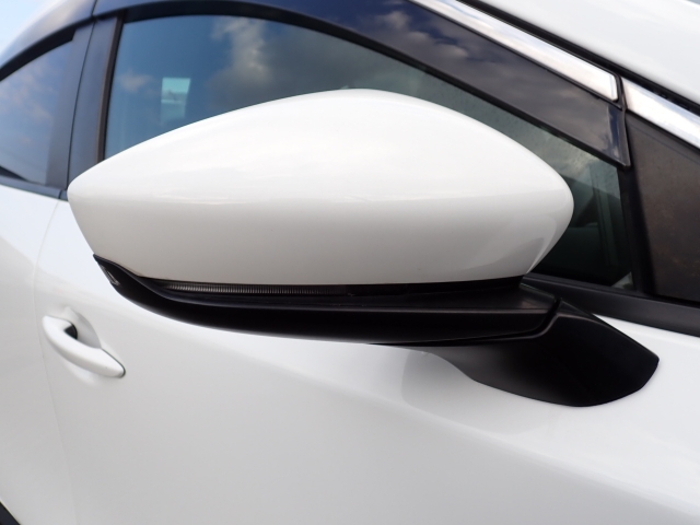 �I���b�N�X�F�蒆�ÎԂ͑S�ԊӒ菑�t���B�������AIS�̌�����S�ԗ��Ɏ��{��1�䂲�Ƃɕ]���_�̂����F�菑�̔��s���s���Ă���܂��B