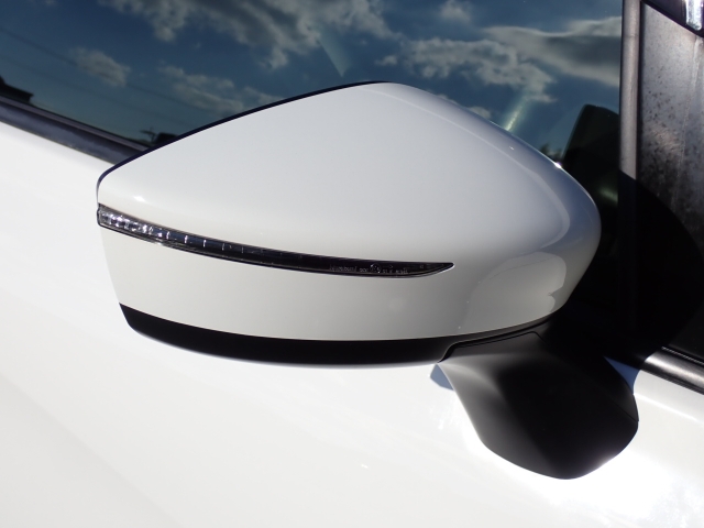 �I���b�N�X�F�蒆�ÎԂ͑S�ԊӒ菑�t���B�������AIS�̌�����S�ԗ��Ɏ��{��1�䂲�Ƃɕ]���_�̂����F�菑�̔��s���s���Ă���܂��B