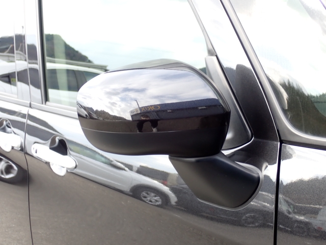 �I���b�N�X�F�蒆�ÎԂ͑S�ԊӒ菑�t���B�������AIS�̌�����S�ԗ��Ɏ��{��1�䂲�Ƃɕ]���_�̂����F�菑�̔��s���s���Ă���܂��B