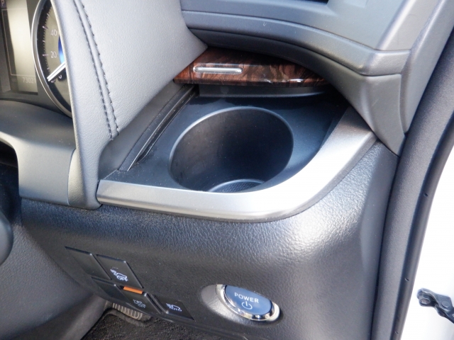 �^�]�Ȃ̉��ɂ̓h�����N�z���_�[�����t���ł���