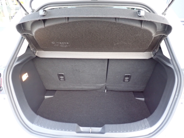 �ʏ펞�̃��P�b�W�X�y�[�X�ł��I�傫�ȊJ���ŉו��̏悹�~�낵���y�ɍs���܂��B