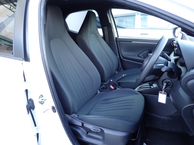 �^�]�Ȃ��傫�ȎC����Ȃ���ԗǍD�ł��B