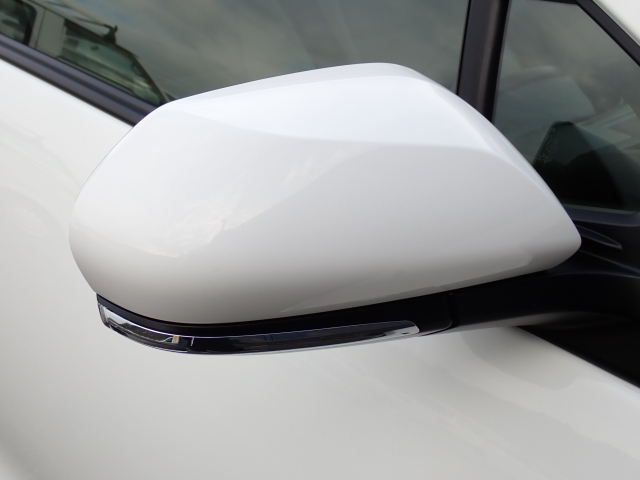 �I���b�N�X�F�蒆�ÎԂ͑S�ԊӒ菑�t���B�������AIS�̌�����S�ԗ��Ɏ��{��1�䂲�Ƃɕ]���_�̂����F�菑�̔��s���s���Ă���܂��B