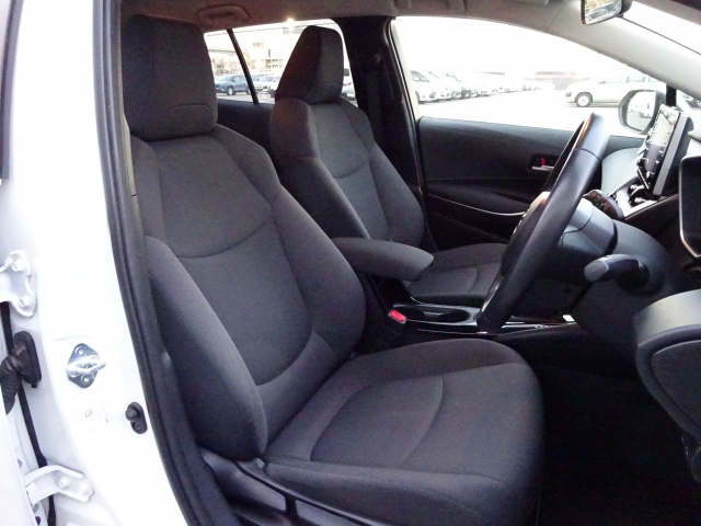 �^�]�Ȃ��傫�ȎC����Ȃ���ԗǍD�ł��B