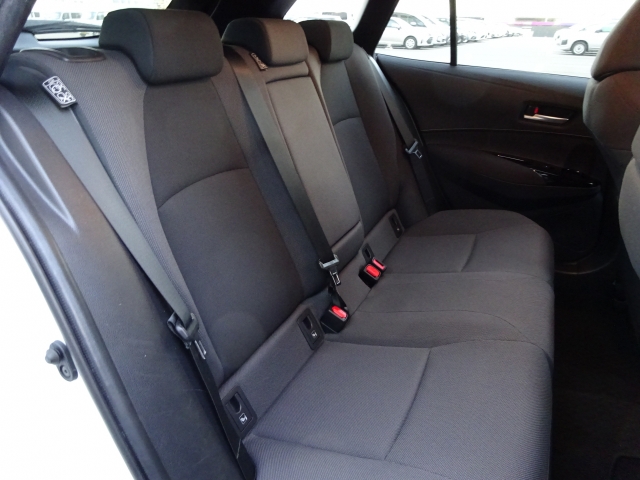 �㕔���Ȃ��傫�ȎC����Ȃ���ԗǍD�ł��B