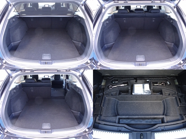 �㕔���Ȕw������͕������Ă���̂ŁA�ʁX�ɓ|�������\�ł���ו��̗ʂɉ����ăA�����W�o����̂ŁA�������ł��ˁI