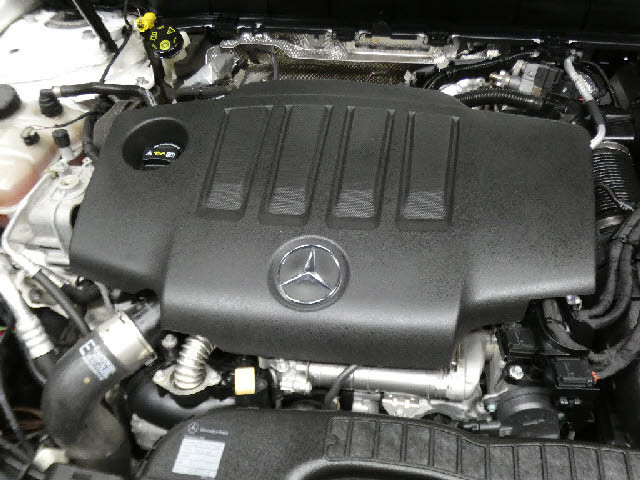 �����ԑт�V����C�ɂ����ɂ��Ԃ����������鉮���t���W��������p�ӁI���f�ڈȊO�̎ʐ^���z�[���y�[�W�Ō��J���I���񂲗��������I���������F�^�^�������D�������|�����������D�������^