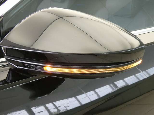 �E�B���J�[�����̃h�A�~���[�ł��B���s�҂�