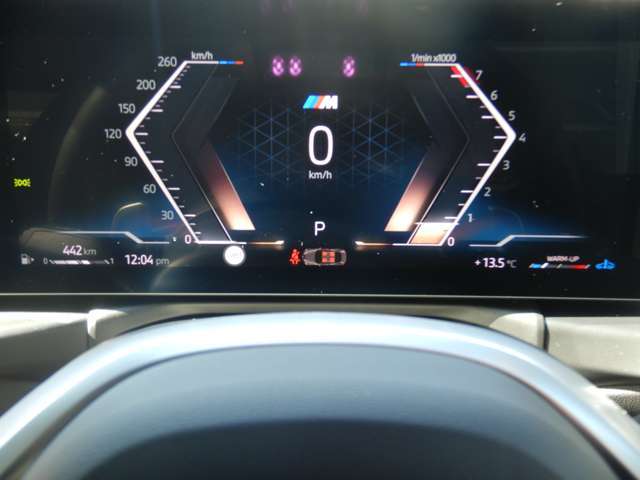 �}���`�E�f�B�X�v���C�E���[�^�[�E�p�l���F