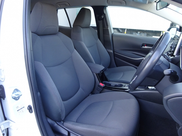 �^�]�Ȃ��傫�ȎC����Ȃ���ԗǍD�ł��B