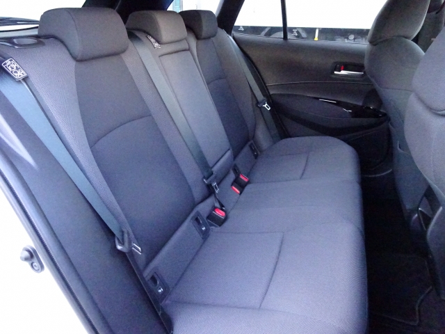 �㕔���Ȃ��傫�ȎC����Ȃ���ԗǍD�ł��B