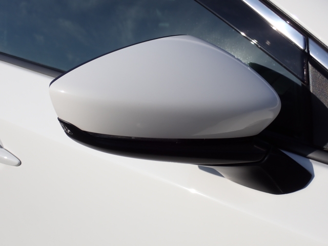 �I���b�N�X�F�蒆�ÎԂ͑S�ԊӒ菑�t���B�������AIS�̌�����S�ԗ��Ɏ��{��1�䂲�Ƃɕ]���_�̂����F�菑�̔��s���s���Ă���܂��B