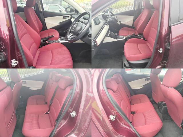 �o�b�N�h�A�́A�n�b�`�o�b�N�h�A�I