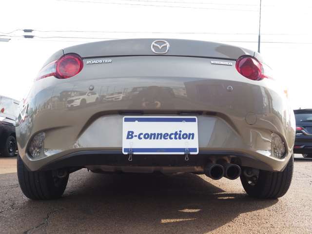 �����P�P�U�������u�k�z�H�Ɨl�v�i�G�A�[�}