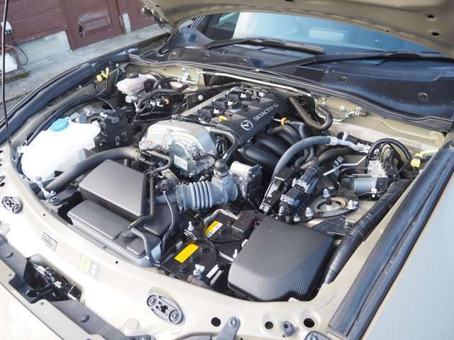 �k�C�����牫��܂őS���[�ԉ\�I�����̔�