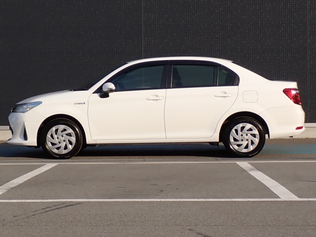 �I�v�V�����ɂăR�[�e�B���O�������Ă���܂��B���C�y�ɂ��₢���킹���������B