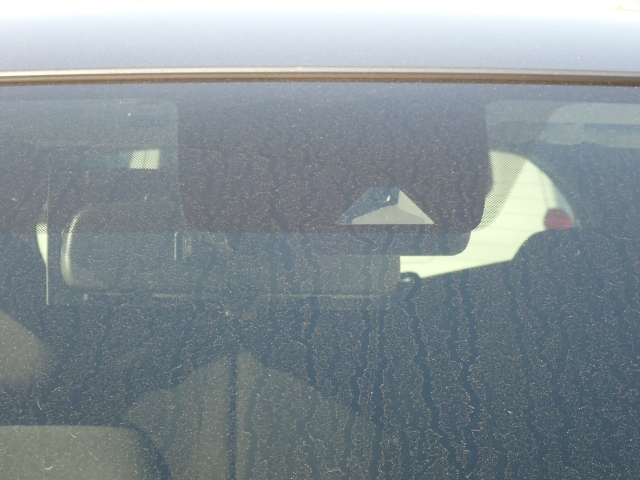 �t�����g�J�����őO���̎ԗ�����s�ғ������m�B�Փ˂������Ȏ��͏Փˉ���y���u���[�L���쓮�A�Փˉ�����T�|�[�g�B