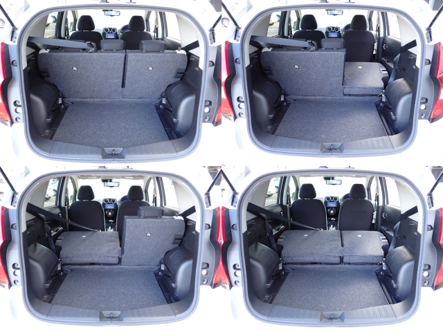 �㕔���Ȕw������͕������Ă���̂ŁA�ʁX�ɓ|�������\�ł���ו��̗ʂɉ����ăA�����W�o����̂ŁA�������ł��ˁI