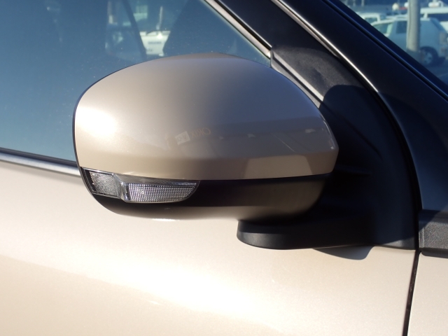 �I���b�N�X�F�蒆�ÎԂ͑S�ԊӒ菑�t���B�������AIS�̌�����S�ԗ��Ɏ��{��1�䂲�Ƃɕ]���_�̂����F�菑�̔��s���s���Ă���܂��B