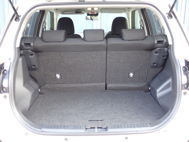 �ʏ펞�̃��P�b�W�X�y�[�X�ł��I�傫�ȊJ���ŉו��̏悹�~�낵���y�ɍs���܂��B