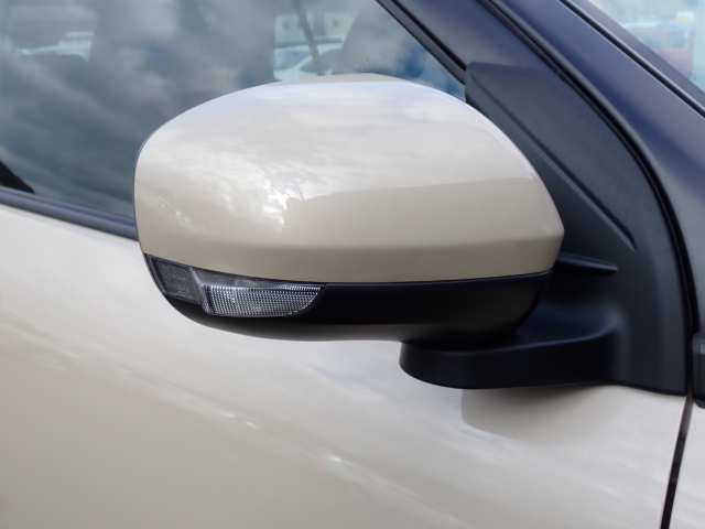 �I���b�N�X�F�蒆�ÎԂ͑S�ԊӒ菑�t���B�������AIS�̌�����S�ԗ��Ɏ��{��1�䂲�Ƃɕ]���_�̂����F�菑�̔��s���s���Ă���܂��B