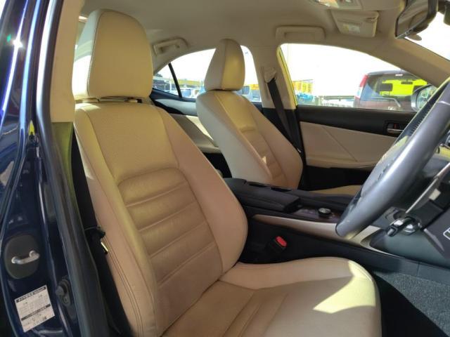 �V�[�g�J���[���������ł��ˁI