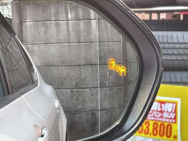 �y�u���C���h�X�|�b�g���j�^�[�z���p�̌㑱