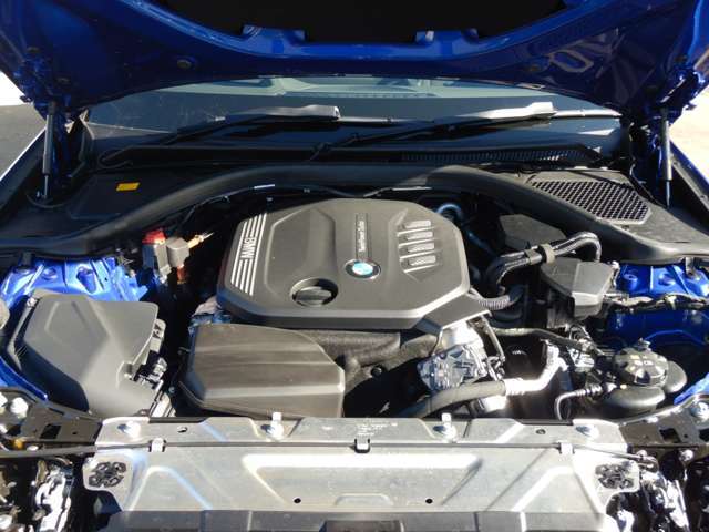 ���S�f�B�[�[��