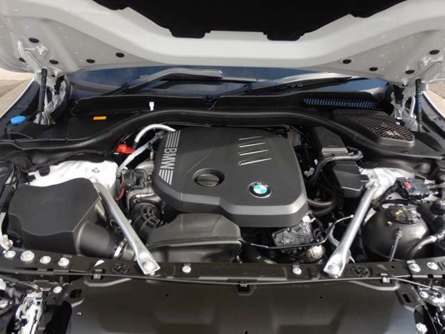 ���S�f�B�[�[��