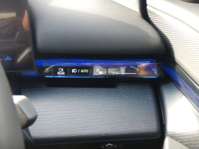 �w�b�h���C�g�E�X�C�b�`