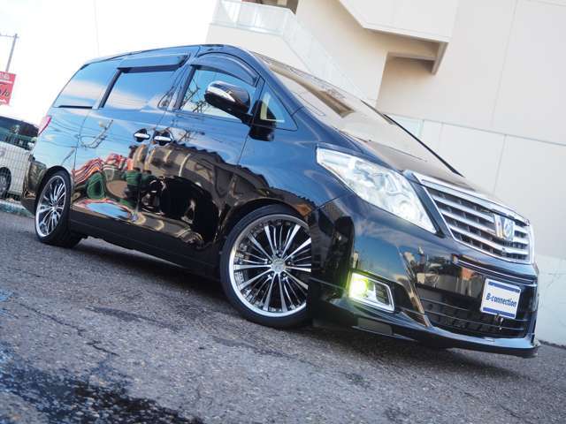 ���k�d�c�w�b�h���C�g�A�k�d�c�t�H�O���C�g