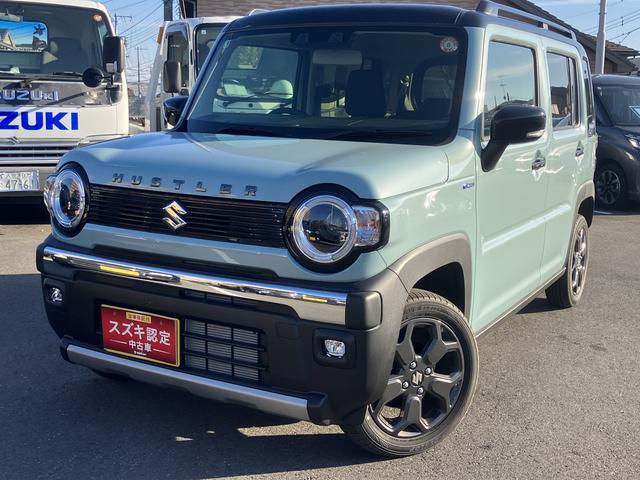 ハスラー(スズキ) タフワイルドターボ　３型　パドルシフト 中古車画像