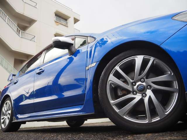 �����P�W�C���`�`�v�����������т₩���܂�