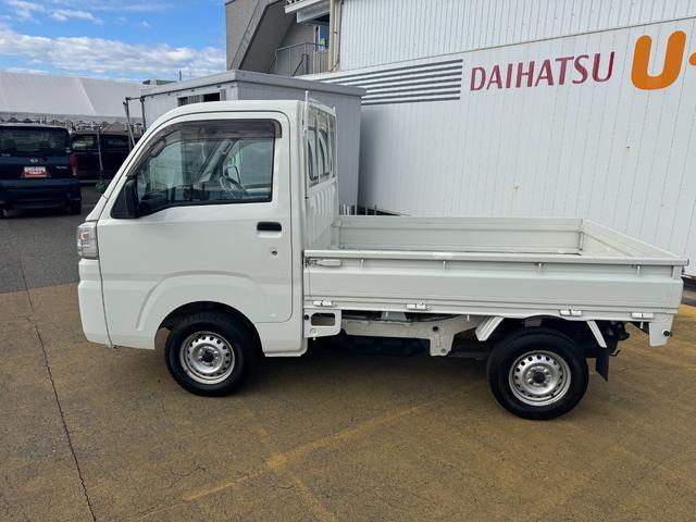 �l�C�̃J���[��