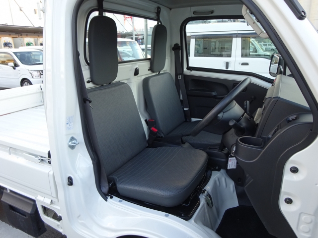 �^�]�Ȃ��傫�ȎC����Ȃ���ԗǍD�ł��B