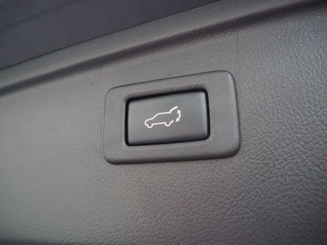 �ו��̑����ۂ�肪�ӂ������Ă���ۂɂ���