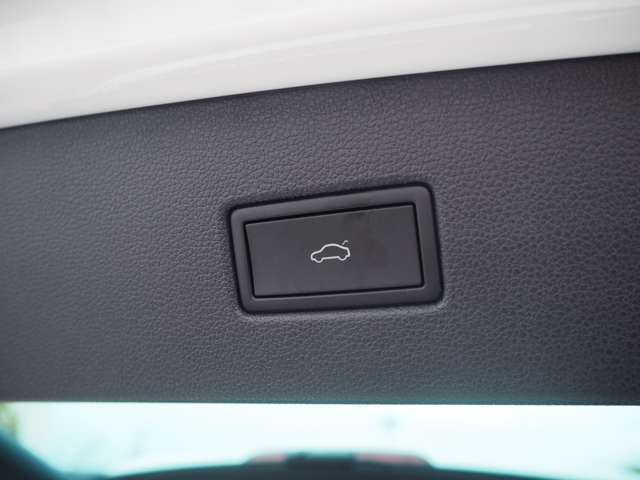 �ו��������ۂ�肪�ӂ������Ă���ۂɂ���