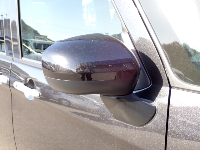 �I���b�N�X�F�蒆�ÎԂ͑S�ԊӒ菑�t���B�������AIS�̌�����S�ԗ��Ɏ��{��1�䂲�Ƃɕ]���_�̂����F�菑�̔��s���s���Ă���܂��B