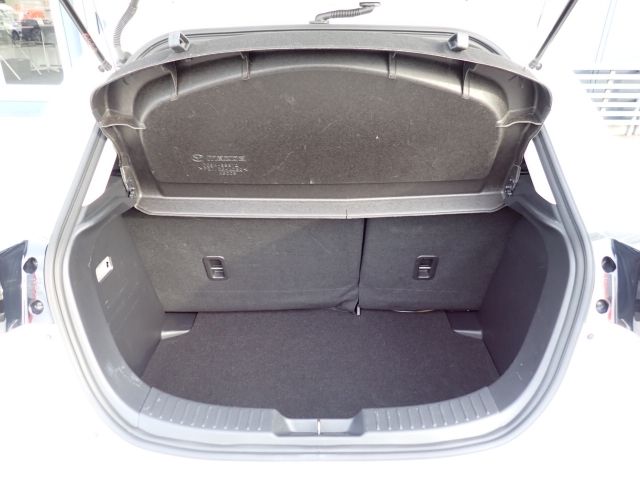 �ʏ펞�̃��P�b�W�X�y�[�X�ł��I�傫�ȊJ���ŉו��̏悹�~�낵���y�ɍs���܂��B