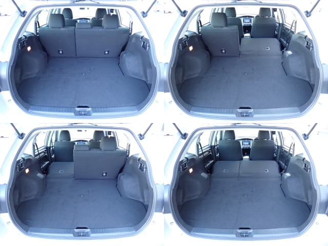 �㕔���Ȕw������͕������Ă���̂ŁA�ʁX�ɓ|�������\�ł���ו��̗ʂɉ����ăA�����W�o����̂ŁA�������ł��ˁI