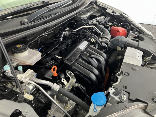 �y���S�l�b�g���[�N�z�S���o�^���[�ԉ\�I�I���O�ł���g�H��ɂĕۏ؂��󂯂鎖���\�ł��i�ꕔ�n��E�����͏����܂��j