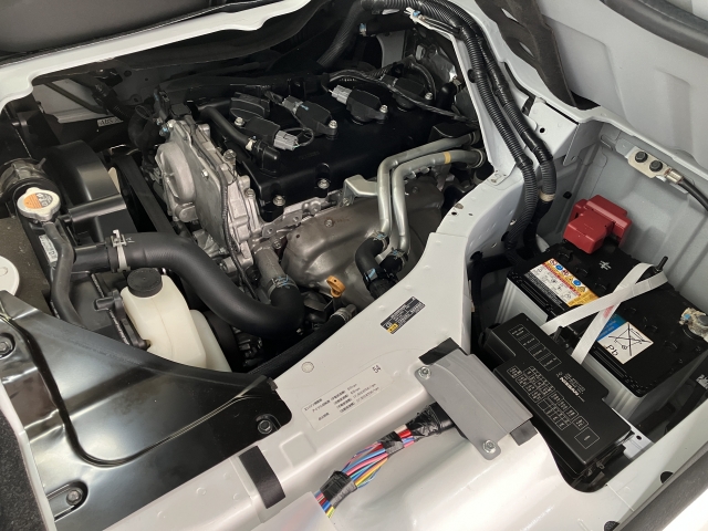 �y�`�h�r�i���������{�z�C�����E���O���̏�Ԃ��ڂ����킩��F�菑�𔭍s���Ă���܂��I�F�菑�͓X���ɂĂ��p�ӂ��������܂��B