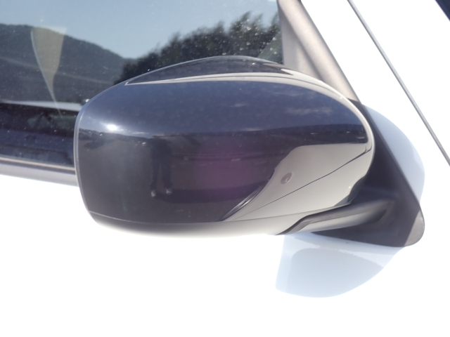 �I���b�N�X�F�蒆�ÎԂ͑S�ԊӒ菑�t���B�������AIS�̌�����S�ԗ��Ɏ��{��1�䂲�Ƃɕ]���_�̂����F�菑�̔��s���s���Ă���܂��B