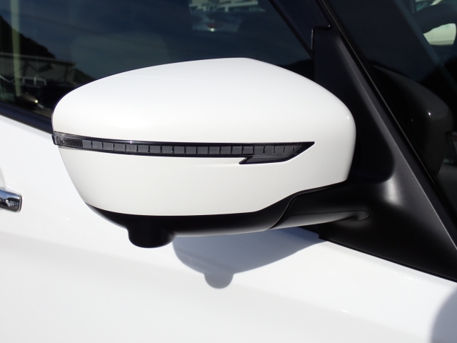 �I���b�N�X�F�蒆�ÎԂ͑S�ԊӒ菑�t���B�������AIS�̌�����S�ԗ��Ɏ��{��1�䂲�Ƃɕ]���_�̂����F�菑�̔��s���s���Ă���܂��B