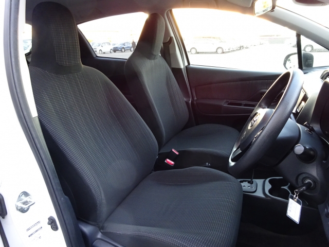 �㕔���Ȃ��傫�ȎC����Ȃ���ԗǍD�ł��B