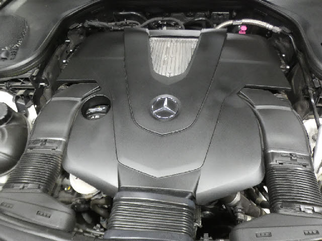 �����ԑт�V����C�ɂ����ɂ��Ԃ����������鉮���t���W��������p�ӁI���f�ڈȊO�̎ʐ^���z�[���y�[�W�Ō��J���I���񂲗��������I���������F�^�^�������D�������|�����������D�������^