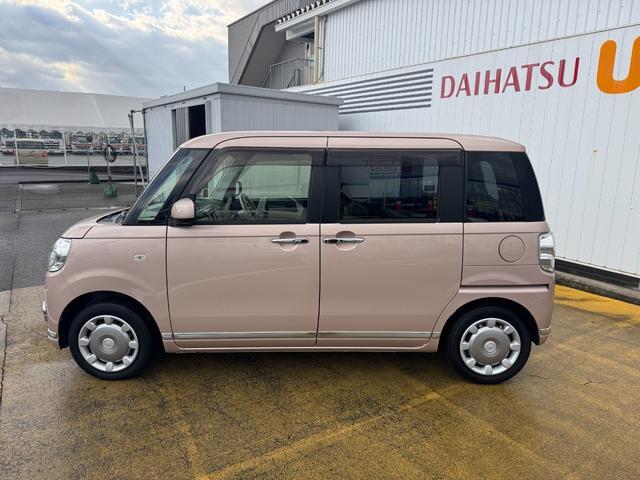 �l�C�̃J���[��