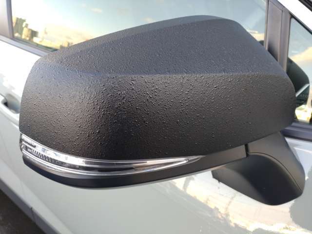 ���X�͖k�C���^�A�x�ǎw��̐����H��ł��B